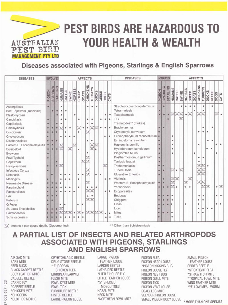 Disease Information Sheet
